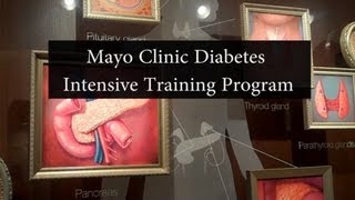 Mayo Clinic Diabetes Intensive Training Program [upl. by Uziel507]