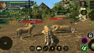 The Tiger  the tiger gameplay [upl. by Niel]