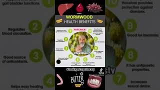 Wormwood Health Benefits [upl. by Youlton]