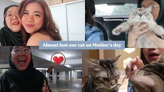 ALMOST LOST OUR CAT ON MOTHERS DAY [upl. by Nahsin]