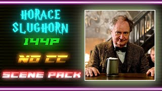 HORACE SLUGHORN ALL APPEARANCES – SCENE PACK 144P NO CC  HARRY POTTER [upl. by Ahtnamys]