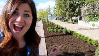 Sprinter Boxwood Hedge Part 3 Trimming amp Mulching 🙌😍 Garden Answer [upl. by Lotsyrc]