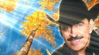 Y LAS MARIPOSAS Joan Sebastian Disco lo mejor de Joan Sebastian 2006 [upl. by Mumford]