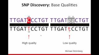 Genome Variation [upl. by Leamhsi]