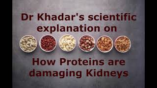 Dr Khadars Scientific explanation on how Proteins are damaging Kidneys  Dr Khadar lifestyle [upl. by Mansur77]