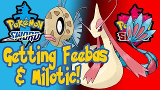 Pokemon Sword and Shield  How to get Feebas and Milotic PokemonSword PokemonShield Feebas [upl. by Ferullo]