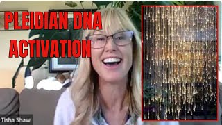 Activate DNA in Akashic [upl. by Onivag453]