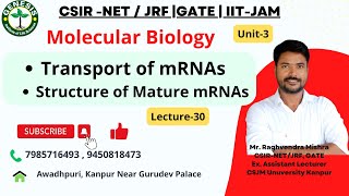 Transport of mRNAs Out of the Nucleus  Structure of Mature mRNAs  L30  Unit3 [upl. by Feer]