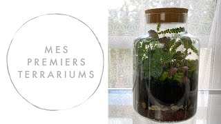 🌿 MES PREMIERS TERRARIUMS DE PLANTES DINTÉRIEUR 🌿 [upl. by Adnaram]