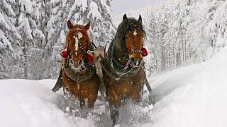 Celtic Christmas Carols Soft Holiday Christmas Music quotWinter Sleigh Ridequot Open Road Folk Music [upl. by Axel]