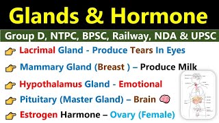 Glands amp Hormone  Endocrine amp Exocrine Glands  ग्रंथियां  Glands amp Hormone Biology Gk [upl. by Craggie555]