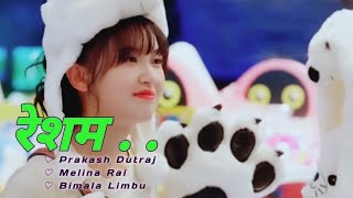 Resham रेशम Korean mix nepali song Prakash DutrajMelina Rai Bimala LimbuNew Nepali Song 2081 [upl. by Nemrak]