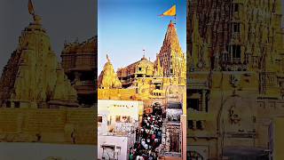 jaydwarkadhish dwarka 🙏🏻🫀🌍 Tepal dwarikanonathmarorajarnachhod [upl. by Pascasia]