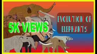 Evolution Of Elephant  Amebelodon  Animation  Eliphas Antiquus  History Of Elephants  Mastodon [upl. by Marciano]