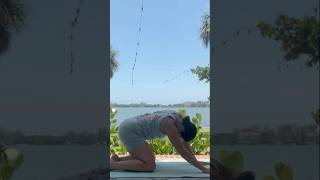 Balance Emotions amp PMS Relief with this Quick Gentle Yoga stretchyourbody yogaforwomen [upl. by Behrens]