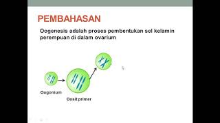 OOGENESIS DAN PEMBAHASAN SOAL [upl. by Eisler]