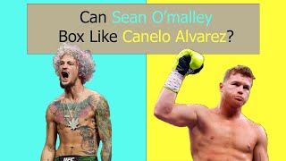 Can Sean OMalley Box Like Canelo Alvarez [upl. by Ellevehs130]