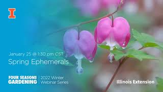 Spring Ephemerals Four Seasons Gardening Webinar Series [upl. by Glynias191]