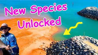 Fishing the new Port Hedland Marina  Fish Species unlocked [upl. by Amand]