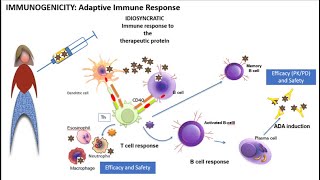 2022 Immunogenicity 101 how and when the immune system reacts to drugs [upl. by Itsym363]