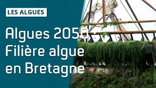 Algues 2050  Filière algue en Bretagne pour nourrir 9 milliards dhommes [upl. by Eidualc]