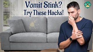 How to Get Vomit Smell Out of a Couch How do you get puke smell out of a couch [upl. by Kowatch]