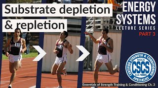 Substrate Depletion and Repletion  CSCS Chapter 3 [upl. by Gnues]