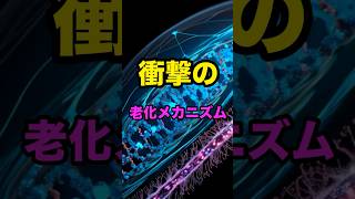 生物が死ぬ理由って？科学 テクノロジー サイエンス 宇宙 物理 生物学 [upl. by Brice]