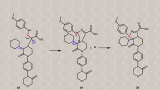 Apixaban anticoagulante mecanismos de formación del heterobiciclo de pirazolovalerolactama [upl. by Rohn]