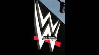 WWE Opens Forbidden Door Iyo Sky vs Utami Hayashishita at Marigold Summer Destiny WWE shorts [upl. by Service310]