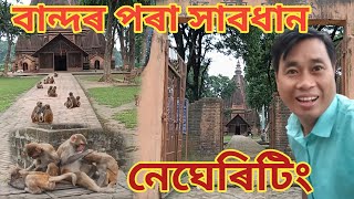 Siva Dol Negheriting ll Dergaon ll নেঘেৰিটিং শিৱদৌল ll [upl. by Ylnevaeh]