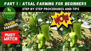 Part 1 Atsal Farming for beginners  1st Month  Seedling Stage [upl. by Ahmad150]