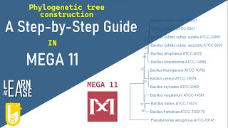 How to Construct a Phylogenetic Tree in MEGA 11 A StepbyStep Guide [upl. by Brothers]