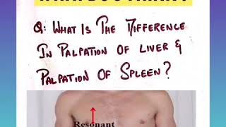 What is the difference between Liver amp Spleen palpation [upl. by Takashi]