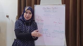 LIPID METABOLISM Biochemistry Session 3Lipogenesis part1 [upl. by Macario]