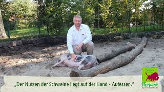 Erhalten durch Aufessen  Artenschutz im Tierpark Nordhorn [upl. by Harewood]