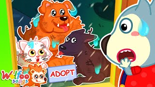 Pet Adopt Song  Having New Super Pets  Kids Songs amp Nursery Rhymes WolfooFamilySongs [upl. by Gittle758]