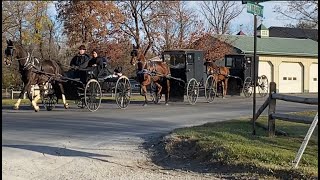 Parade in Pennsylvania Sunday Morning  Mennonites Going to Church  Nov 2023 [upl. by Sid]