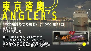 【東京湾奥】隅田川 悶絶クルクルバチ？バチパターン釣行4 ワスプスラローム50sで初釣行【シーバス釣り】2024 5月上旬 Can We Catch Fish In Tokyo Bay 51 [upl. by Onairpic]