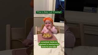 BabyLed Weaning What is it [upl. by Akelahs291]