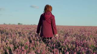 Field Of Sainfoin [upl. by Foskett]