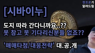 시바이누 누차 말씀 드렸죠도지 따라간다고  이제 상승 시작 더 올라갑니다  털리말고 이대로만하세요 [upl. by Acysej]