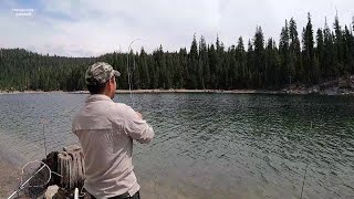 Rare Fish Took Our Pole While Taking A Nap FishingTrout Fishing Ice House [upl. by Nooj513]