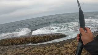 Kalbarri Fishing Spot  Western Australia [upl. by Hortensa]