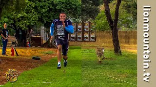 🔥 Bryan Habana vs Cheetah 🐆 The Ultimate Race for Survival 🏃💨 [upl. by Ittam]