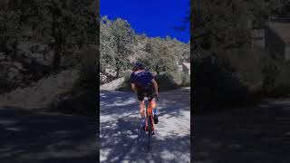 PARADISE MALLORCA CYCLING with DRONE [upl. by Palma]