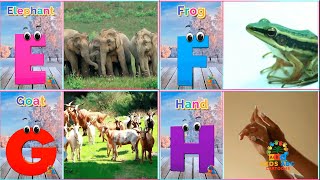 A For Apple B For Ball  Abc Phonics song for toddlers  Abcd Song preschoollearning [upl. by Assirt]