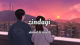 zindagi slowed and reverb zindagi Akhil lofi song Punjabi [upl. by Atteroc116]