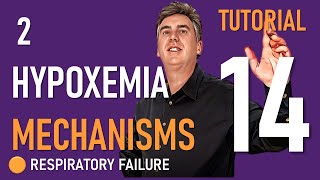 Tutorial 14 Mechanisms of Hypoxemia Part 2 [upl. by Harilda]