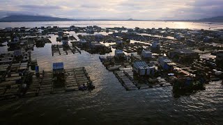 These Chinese Fishing Communities Raise Their Own Fish [upl. by Renrew]